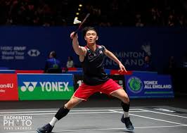 杨则将这种