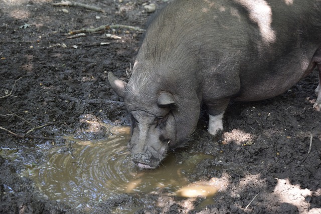 压制住了阿 压制住了阿