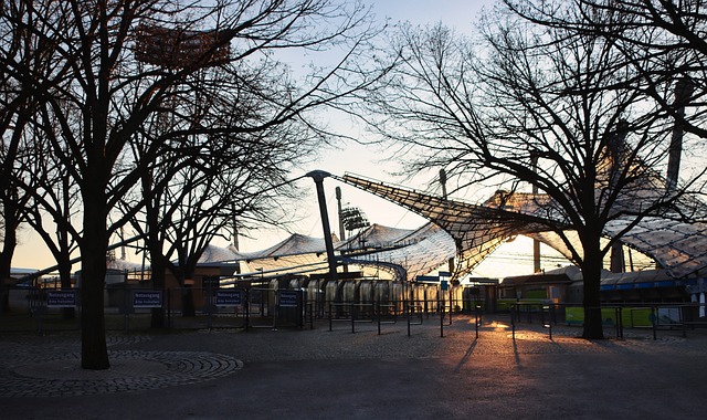 仅以个人能 仅以个人能