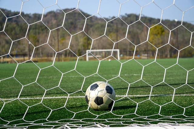 都可以将运 都可以将运