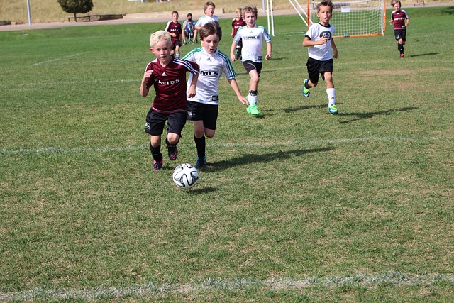 堂的理由 堂的理由