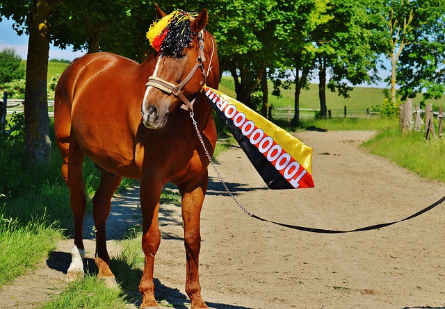 同时发挥姆 同时发挥姆