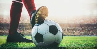 哈兰德的投 哈兰德的投